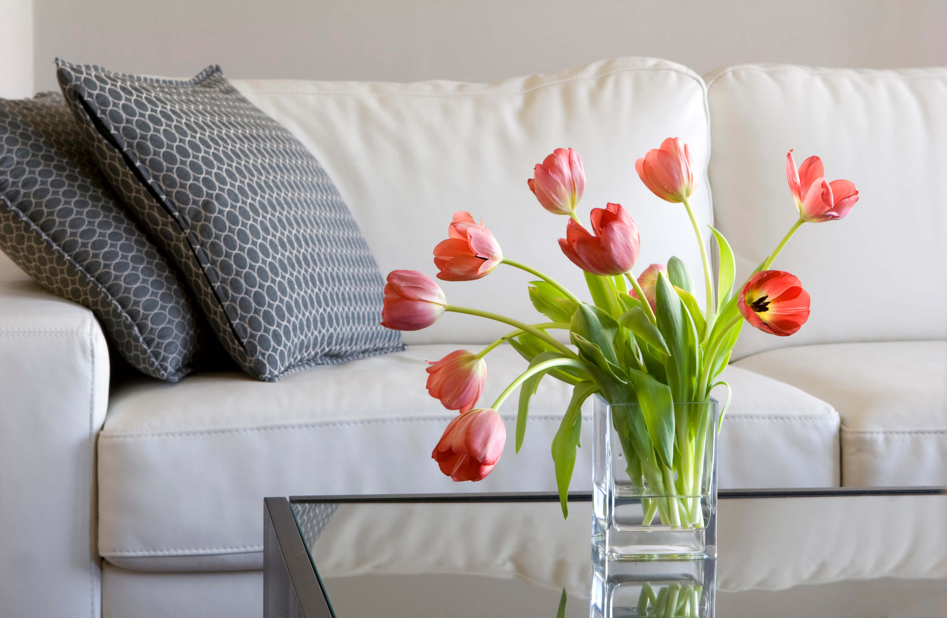 Find your perfect home